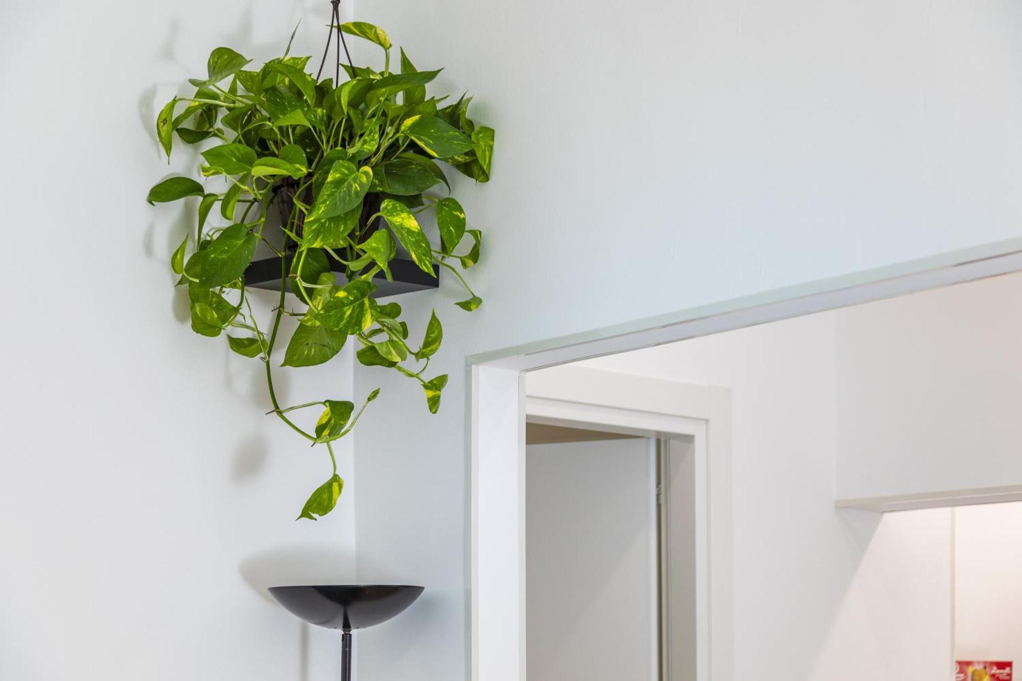 Good Vibes Apartment Catania